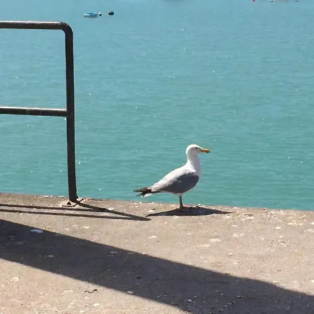 Les Pieds Dans L'eau *