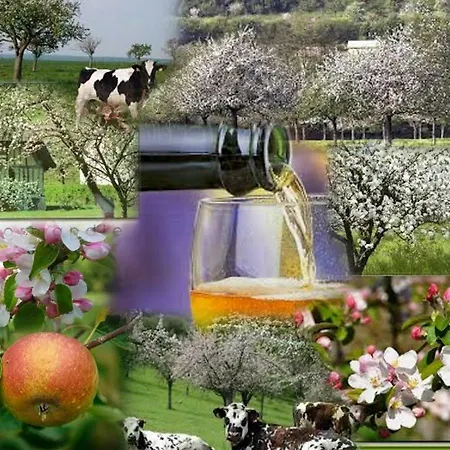 Les Pieds Dans L'eau Apartment