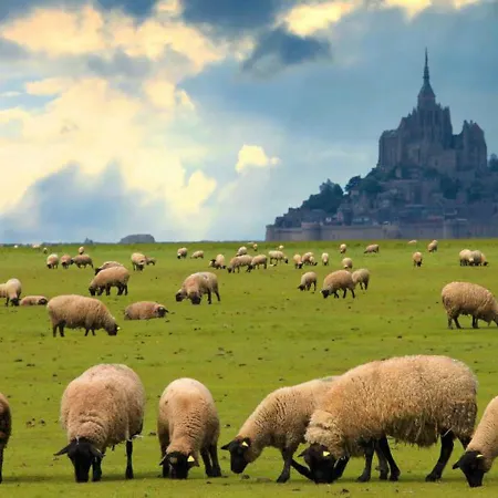 Les Pieds Dans L'eau Apartamento Donville-les-Bains