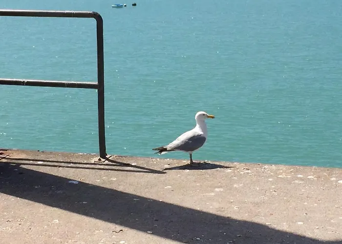 Les Pieds Dans L'eau *