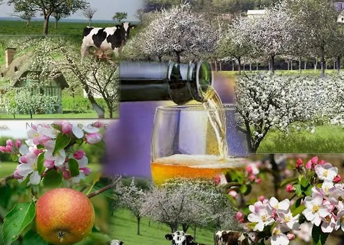 Les Pieds Dans L'eau Apartment