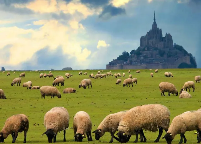 Les Pieds Dans L'eau Apartment Donville-les-Bains